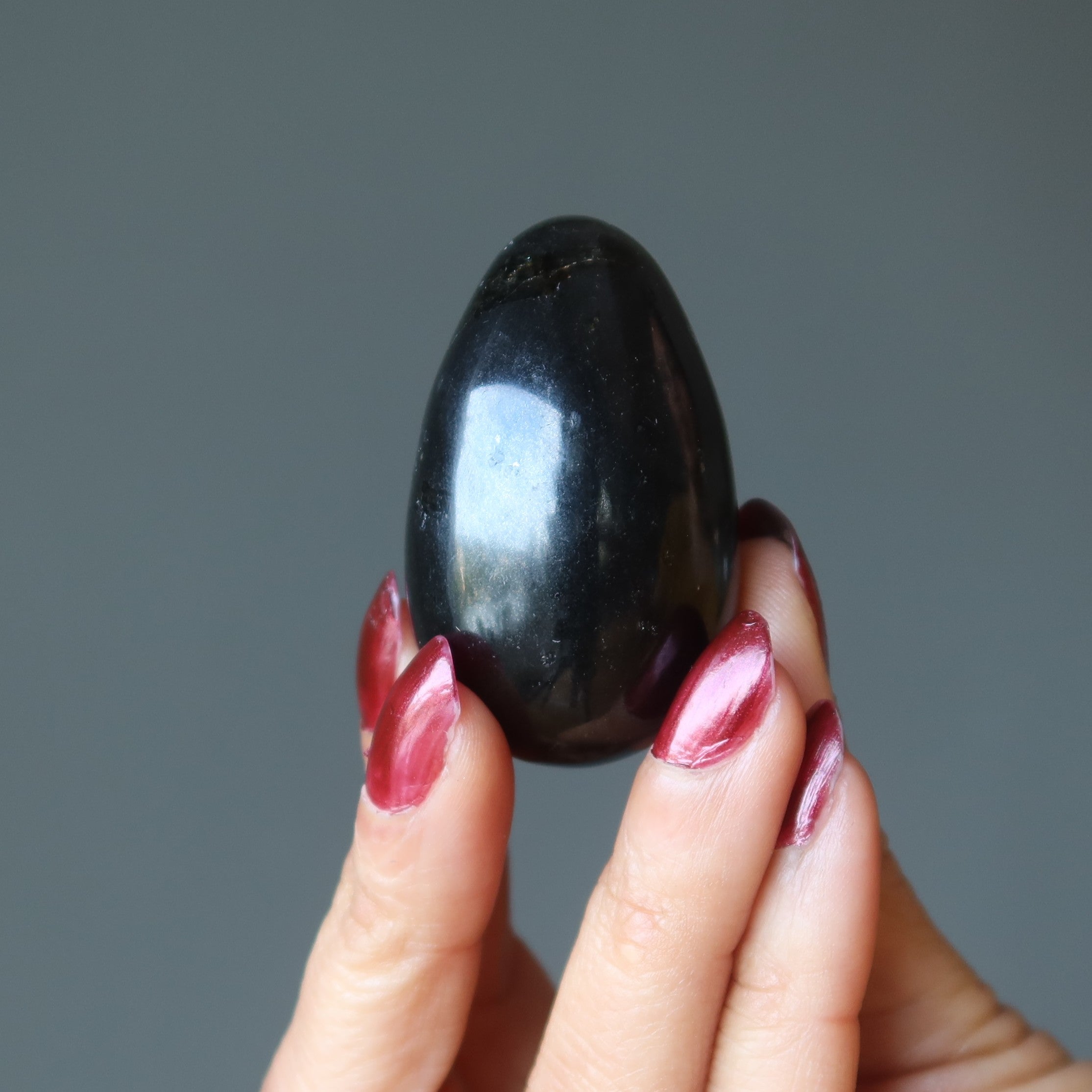 Black Tourmaline Egg New Perspectives Protection Crystal