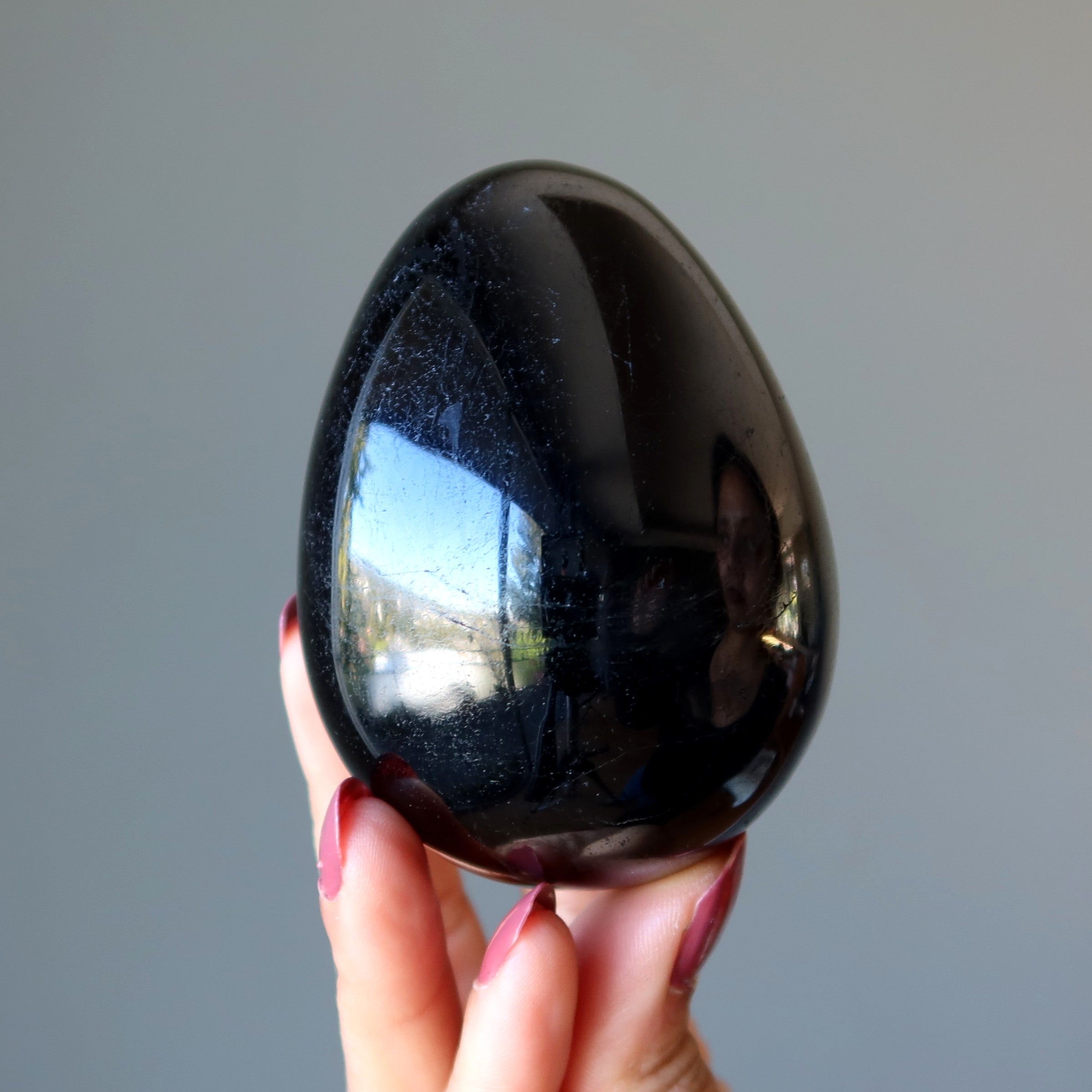 Black Tourmaline Egg New Perspectives Protection Crystal