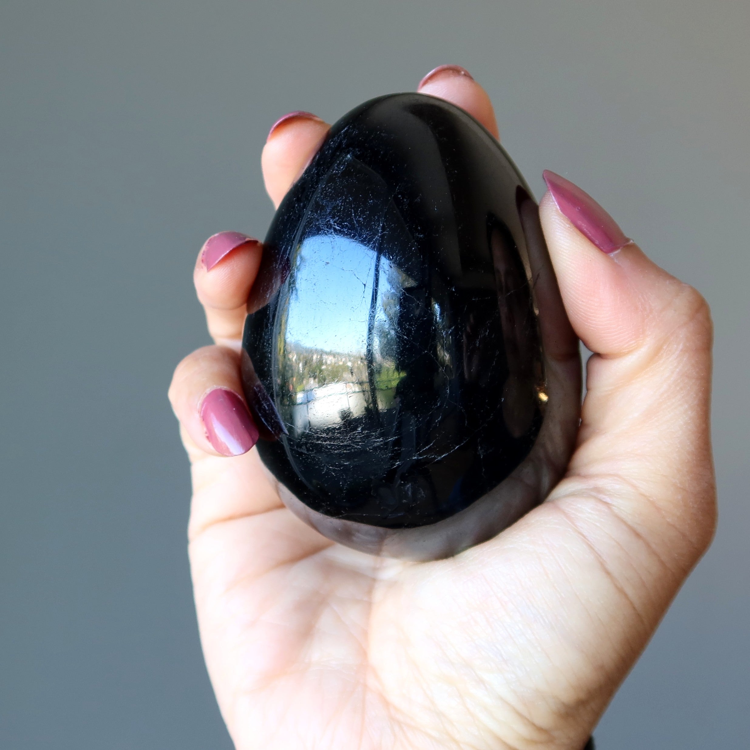 Black Tourmaline Egg New Perspectives Protection Crystal