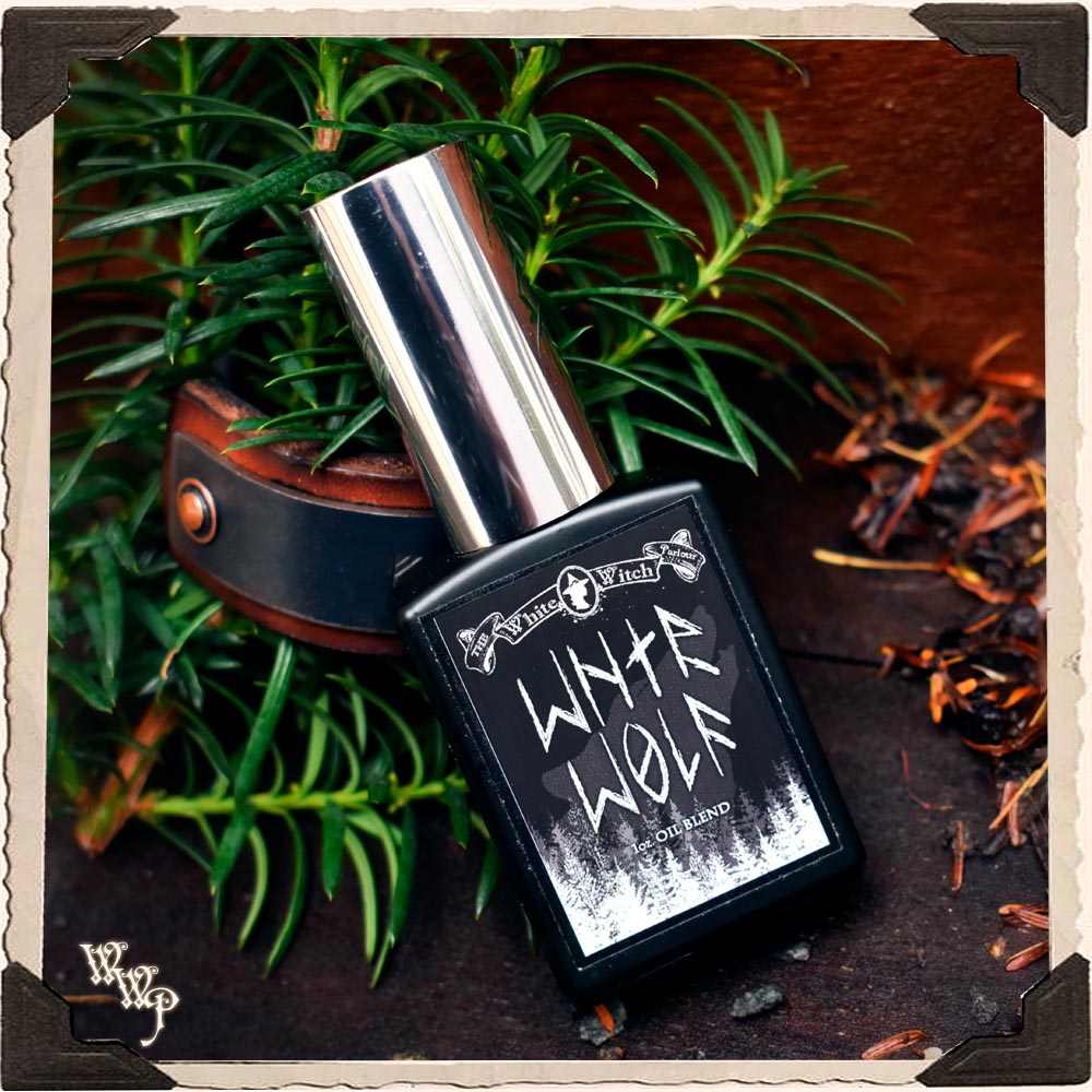 WNTR WOLF OIL. 30ml. Schützendes, rein natürliches, maskulines Winteröl für Haar, Körper & Bart.